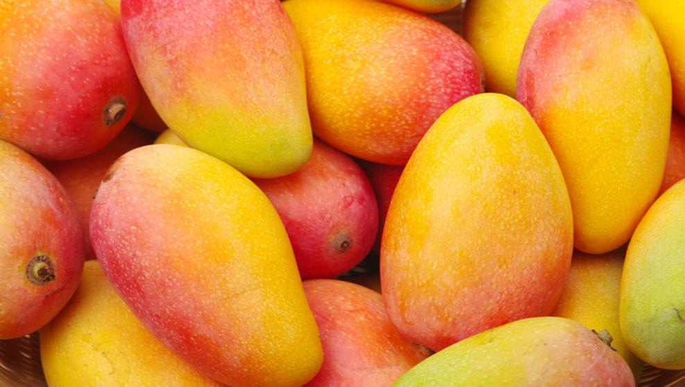 Mango (kg)