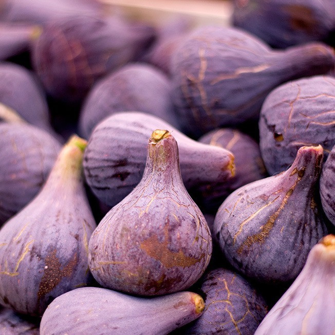 Figues Coll de Dama