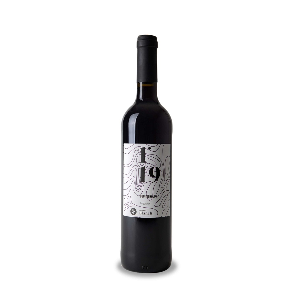 Vi coordenades 1º19