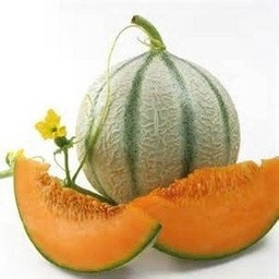 Meló cantaloup