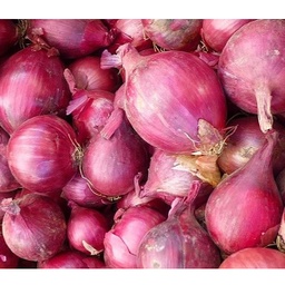 Ceba seca vermella