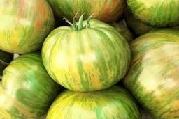 Tomàquet zebra