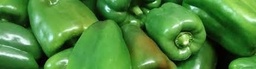 Pebrot verd