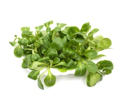 Canonges (50gr)