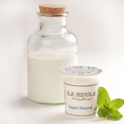 Iogurt NATURAL de vaca ECO individual