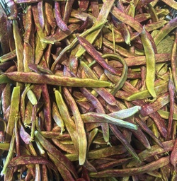 Bajoca perona vermella