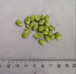 Pèsols petits pelats (100gr)